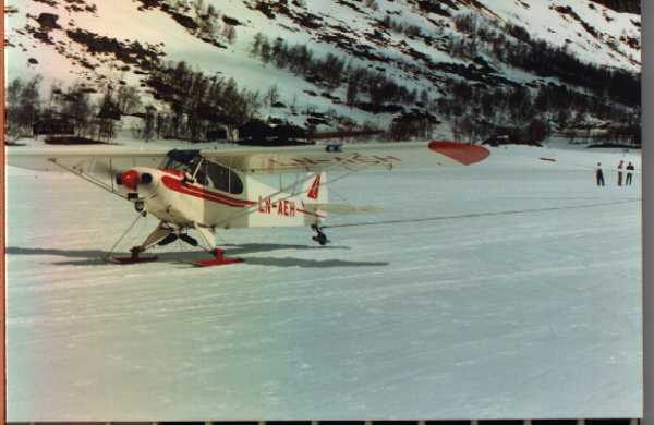 cub ski.jpg (26975 bytes)