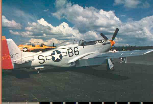 mustang.jpg (20483 bytes)