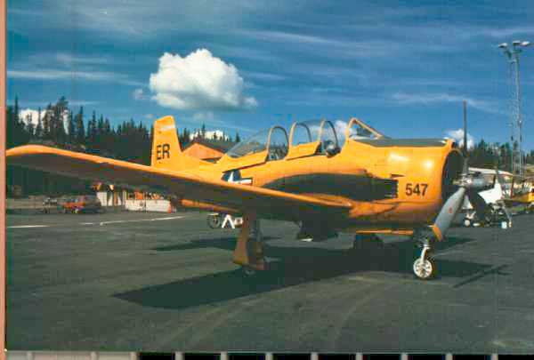 t 28.jpg (20956 bytes)